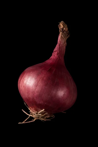 Shallots still life black background — Stock Photo, Image