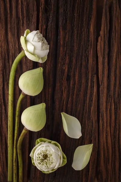 Green lotus flower decoration on wooden background — Stock Photo, Image