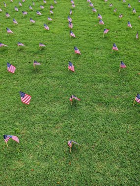 Bir anma töreni için her yere Amerikan Bayrakları serilmişti..