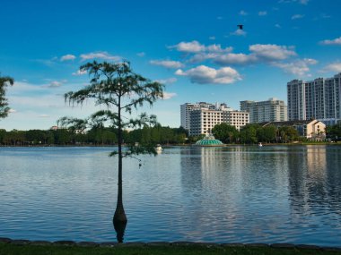 Orlando, Florida 'nın muhteşem manzarası. Gölün ortasından parkın..
