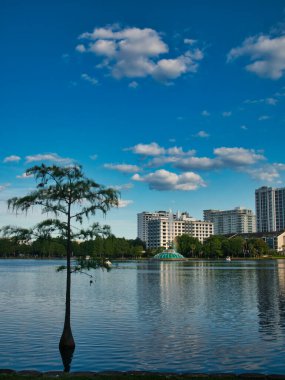Orlando, Florida 'nın muhteşem manzarası. Gölün ortasından parkın..