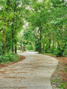 Parkta gölün etrafında yürümek için patika