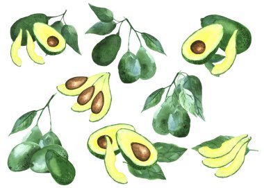 Beyaz arka planda taze avokado kompozisyonu ile suluboya dağılımı. 8 element