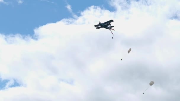 NOVOSIBIRSK, Russia - August 2, 2019: Drops paratroopers in retro aircraft, airshow — 图库视频影像