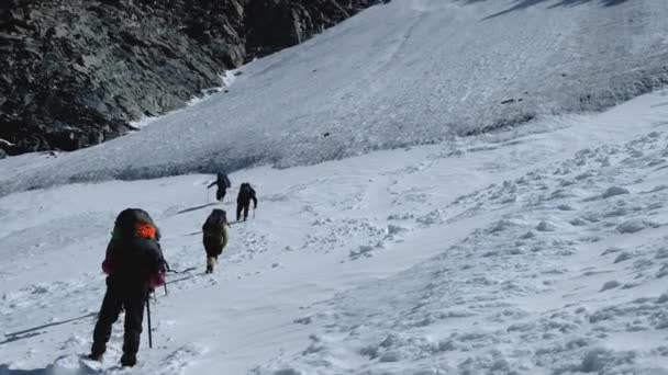 Egy rakás hegymászó vagy alpinista mászik fel egy hófödte hegy tetejére. — Stock videók