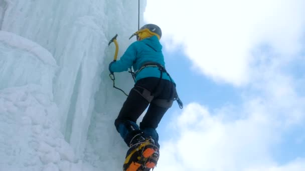 Alpinist kvinna med is verktyg yxa och kramper klättring vägg av is. — Stockvideo