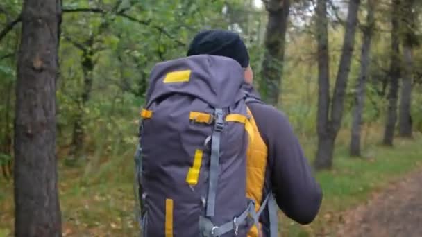 バックパックの森の中を歩くとハイカー 秋のトレッキング — ストック動画