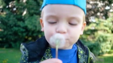 Küçük çocuk parkta karahindiba üflüyor.