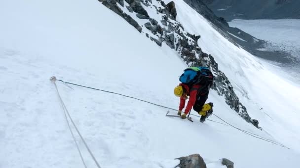 Un grupo de montañistas sube o alpinistas a la cima de una montaña cubierta de nieve — Vídeo de stock