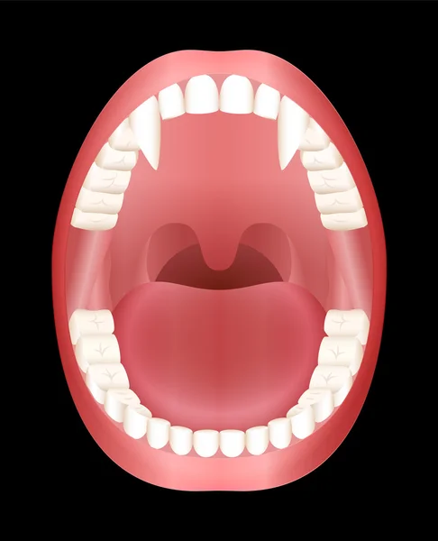 Vámpír fogak tátott szájjal — Stock Vector