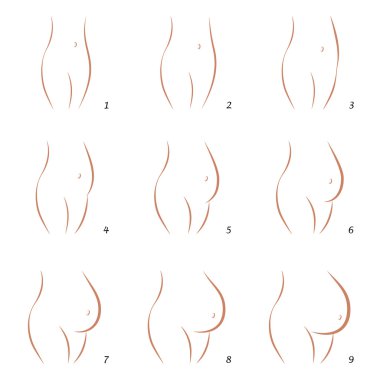 Gebelik büyüme göbek sıra dokuz adımları