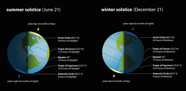 Zomer Winter zonnewende grafiek — Stockvector