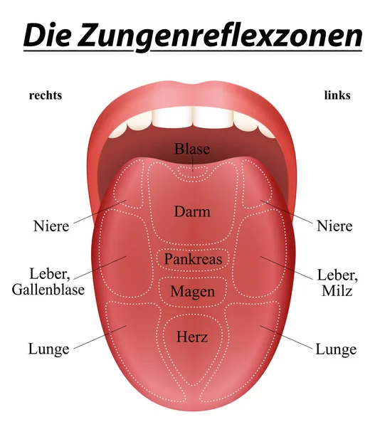 Reflexology Tongue German — Stock Vector