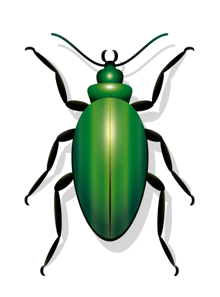 Escarabajo verde Bug — Vector de stock