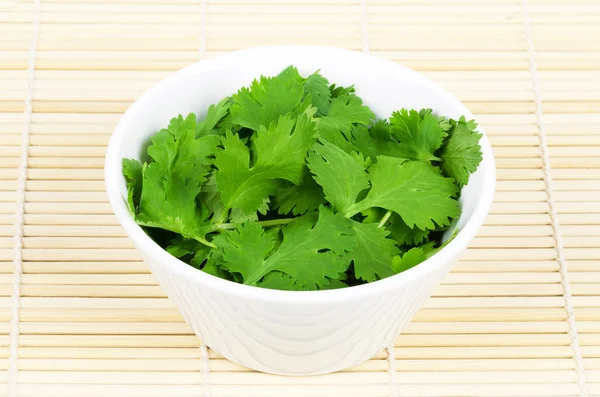 Hojas frescas de cilantro o cilantro en un tazón blanco —  Fotos de Stock