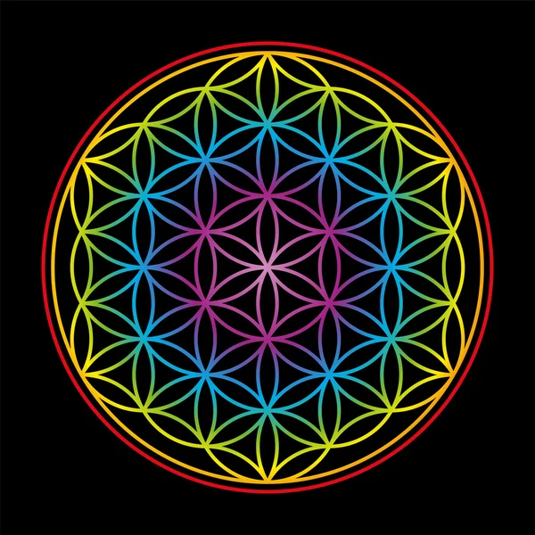 Flower Of Life Colorful On Black Background — Stock Vector