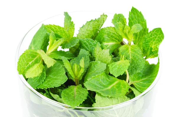 Hojas de menta fresca en tazón de vidrio sobre blanco — Foto de Stock