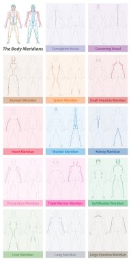 Body Meridians Names TCM clipart