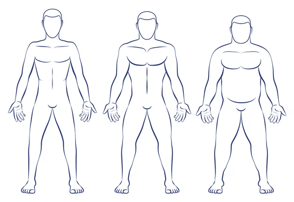 바디 종류 Ectomorph Mesomorph 셔플 — 스톡 벡터