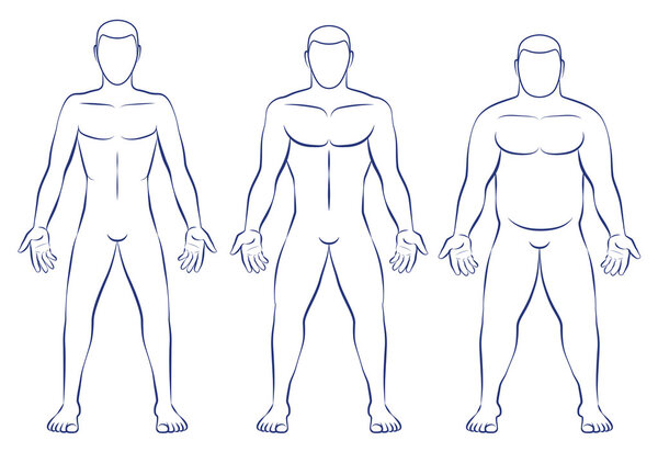 Body Types Ectomorph Mesomorph Endomorph