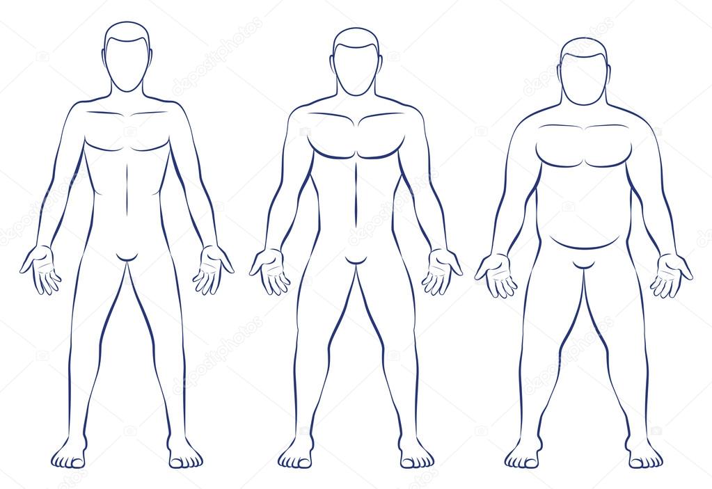 Body Types - Ectomorph, Mesomorph & Endomorph