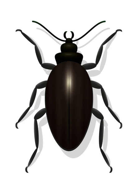 Escarabajo grande negro — Vector de stock