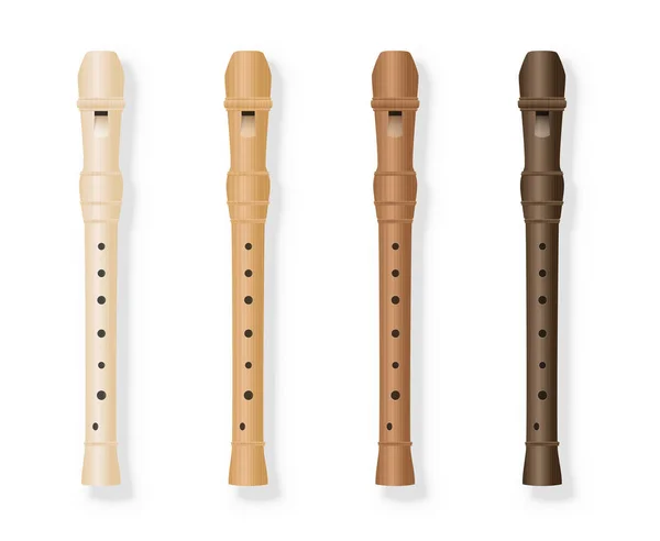 Gravador Fipple Flautas Variações de madeira —  Vetores de Stock