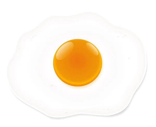 Oeuf frit fond blanc — Image vectorielle