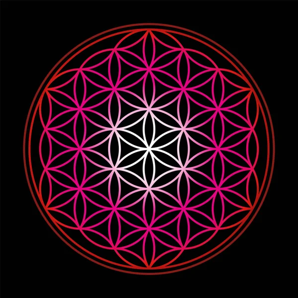 Flower Of Life Red Black Background — Stock Vector