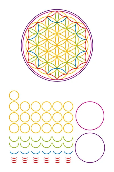 Flower of Life components and building set — Stock Vector