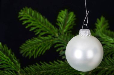 Beyaz gümüş önemsiz şey köknar dalı üzerinde Noel süs