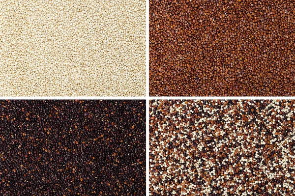 Sementes de quinoa amarelas, vermelhas, pretas e mistas — Fotografia de Stock