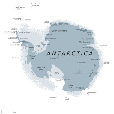 Antarktika siyasi harita gri renkli
