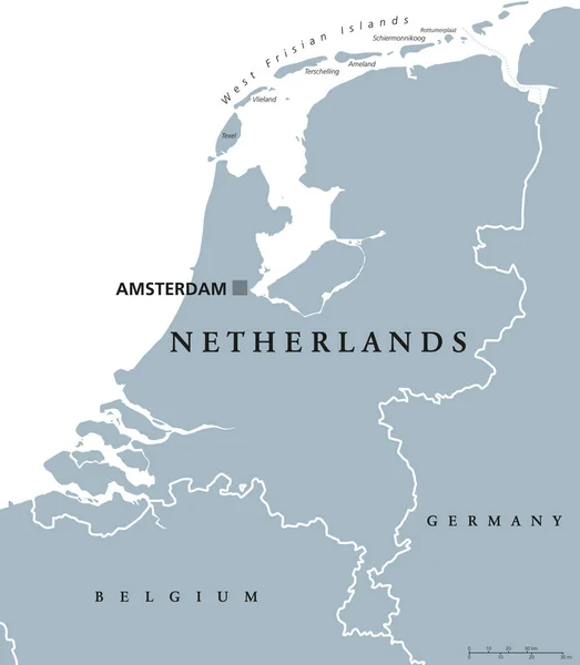 네덜란드의 정치 지도 회색 색깔 — 스톡 벡터