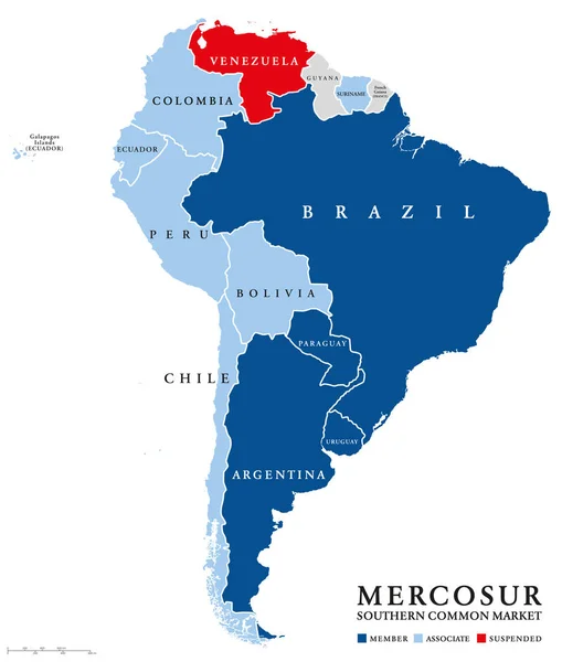 일시 중단 된 베네수엘라 메르코수르 국가 지도 — 스톡 벡터