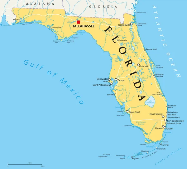 Florida politiska karta — Stock vektor