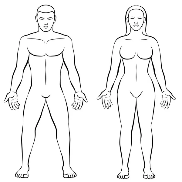 Vrouwelijk lichaam vorm mannenlichaam massa illustratie — Stockvector