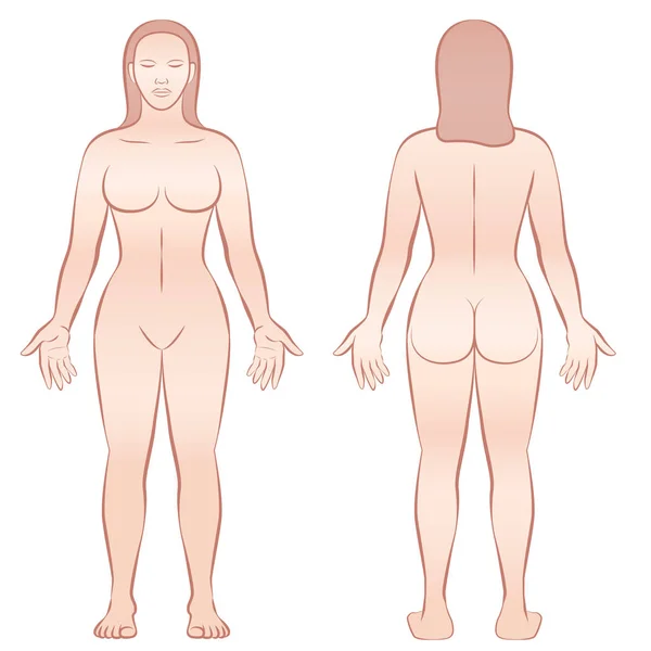 Cuerpo femenino Vista frontal Vista trasera — Vector de stock