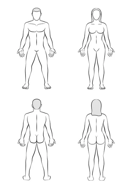 Man Woman Body Blank Outline Illustration — Stock Vector