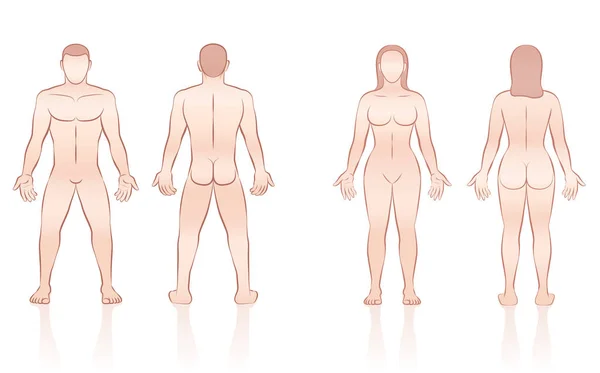 Menschlicher Körper Mann Frau vorne hinten — Stockvektor