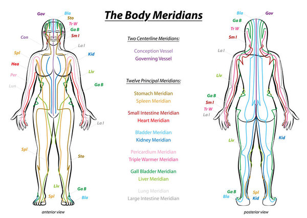 Meridian System Description Chart Female Body