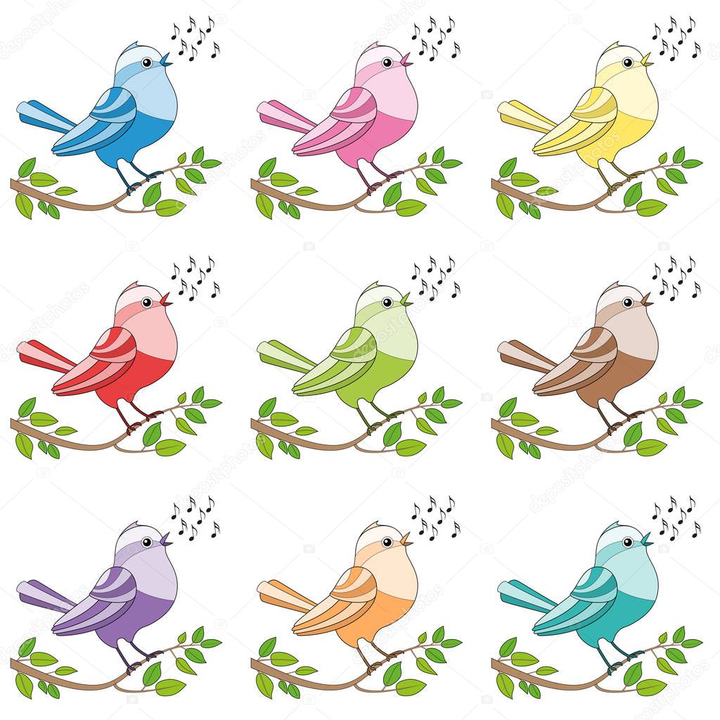 Songbirds Colorful Singing Birds