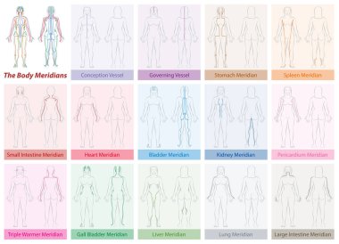 Vücudun meridyenleri grafik kadın renkleri