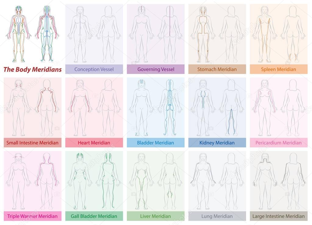 Body Meridians Chart Woman Colors