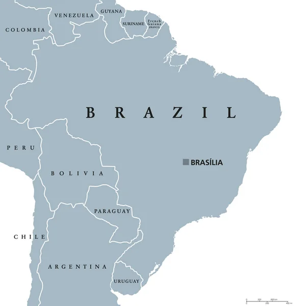 Brazília politikai térképe — Stock Vector