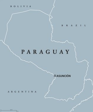 Paraguay siyasi haritası
