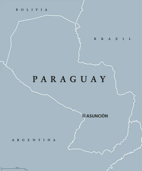 Политическая карта Парагвая — стоковый вектор