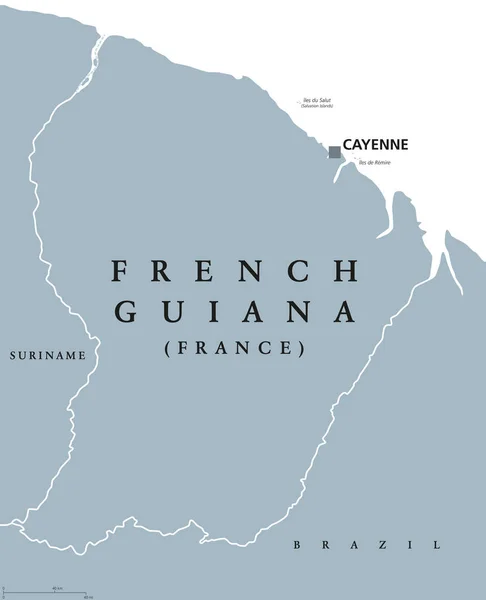 Francouzská guyana politická mapa — Stockový vektor