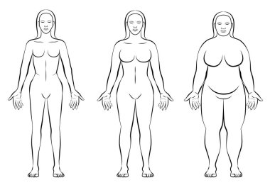 Female Body Constitution Types Thin Fat Normal Weight clipart