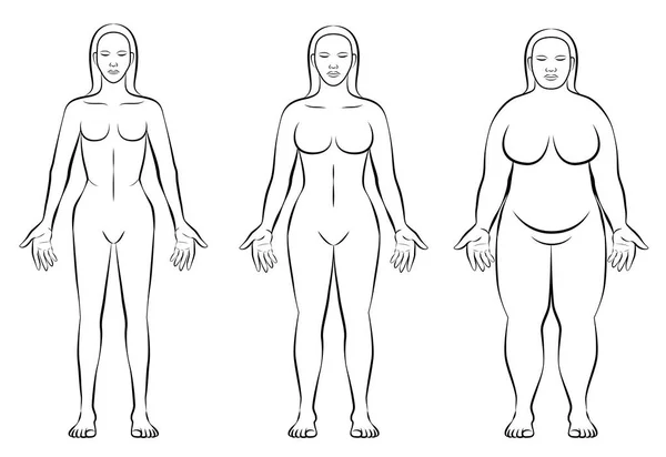 Жіноче тіло Типи Конституції Тонкий жир Звичайна вага — стоковий вектор